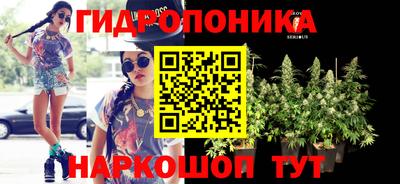 гашик Кулебаки